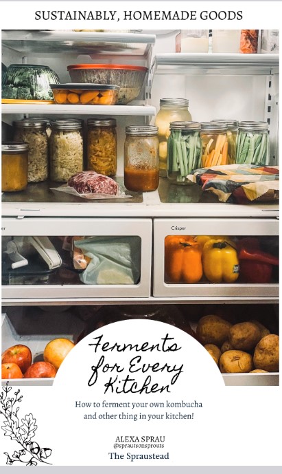Ferments for Every Kitchen Cover